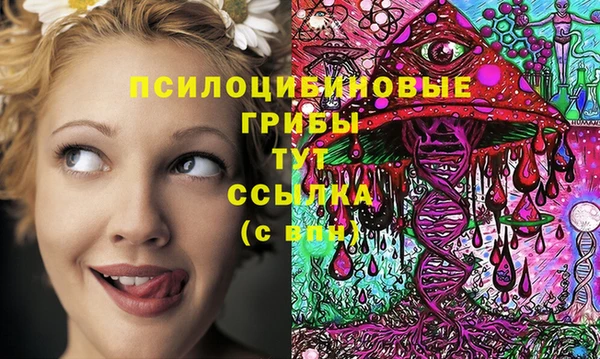 соль ск Балахна