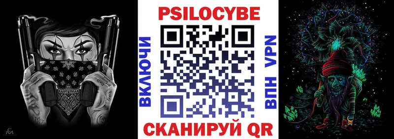 Галлюциногенные грибы Psilocybe  где купить наркотик  Нязепетровск 